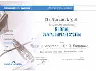 Global Dental Imlant System