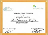 MIAMBE; Sinus Elevation & Immediat Loading