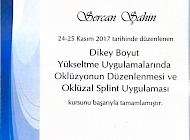 Regulation of Occlusion in Vertical Dimension Raising Applications and Occlusal Splint Application