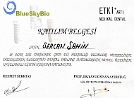 Impact Plus Medical Dental